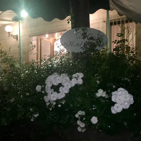 奥林匹亚酒店 酒店